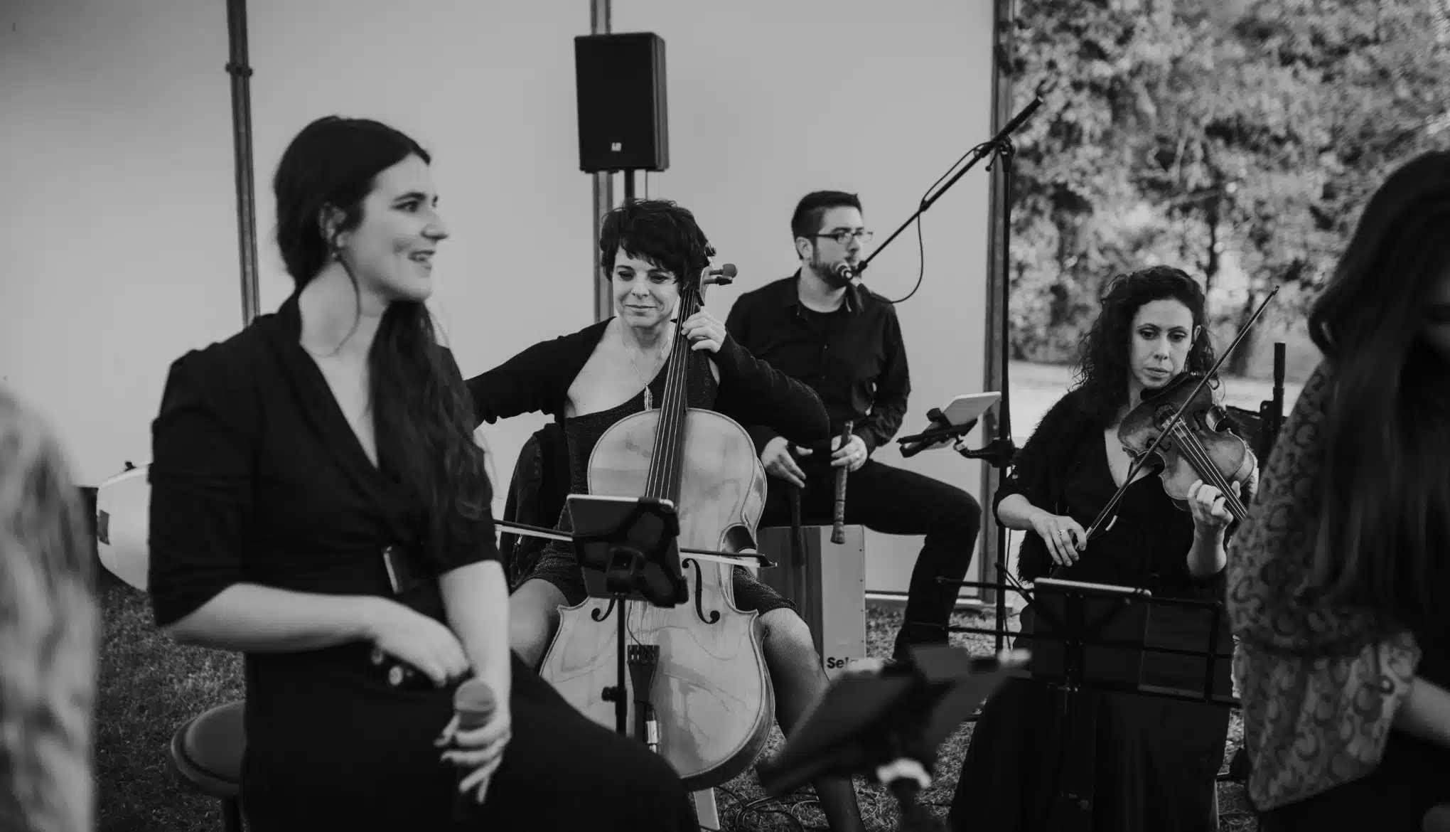 chant et guitare acoustique orchestre Smart Music Orchestre animation cocktail et vin d'honneur Smart Music Paris.